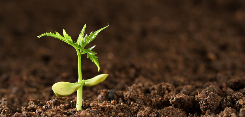 G8全自動(dòng)石墨消解儀對土壤中汞、砷測定的消解案例