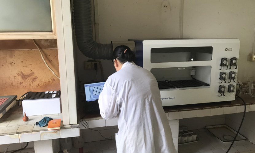 實驗室人員上機操作實驗