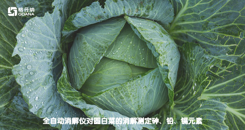 全自動(dòng)消解儀對圓白菜的消解測定砷、鉛、鎘元素