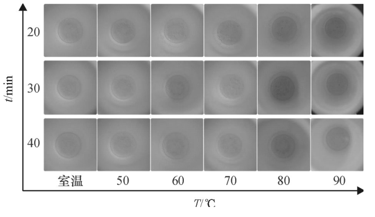 不同密閉消解時間、不同水浴溫度的消解效果
