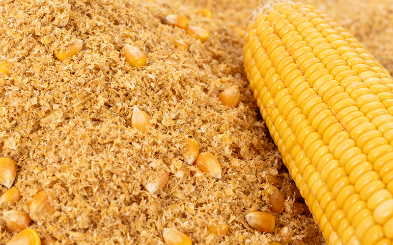 免水全自動(dòng)凱氏定氮法測(cè)定玉米麩的含氮量